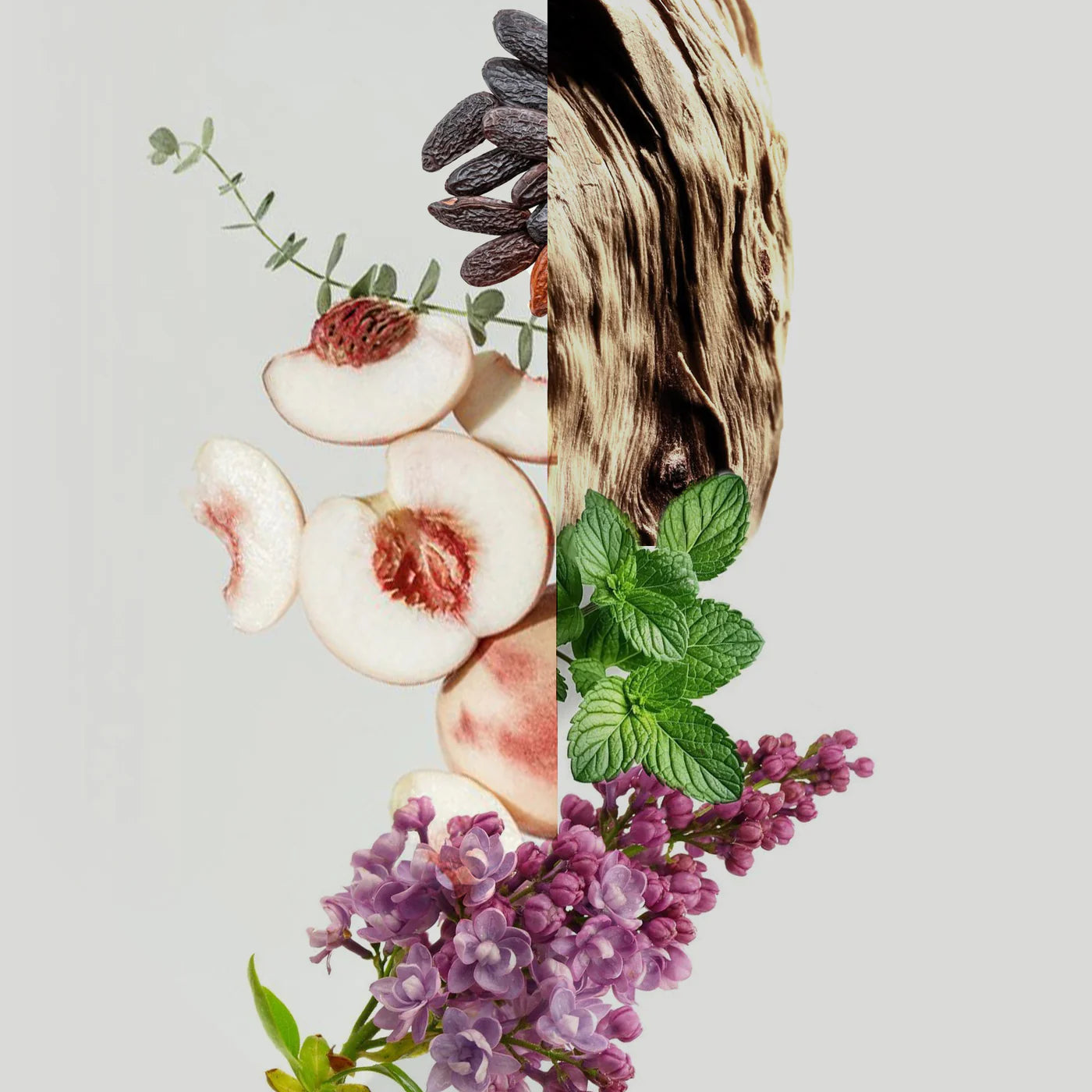 Test 3