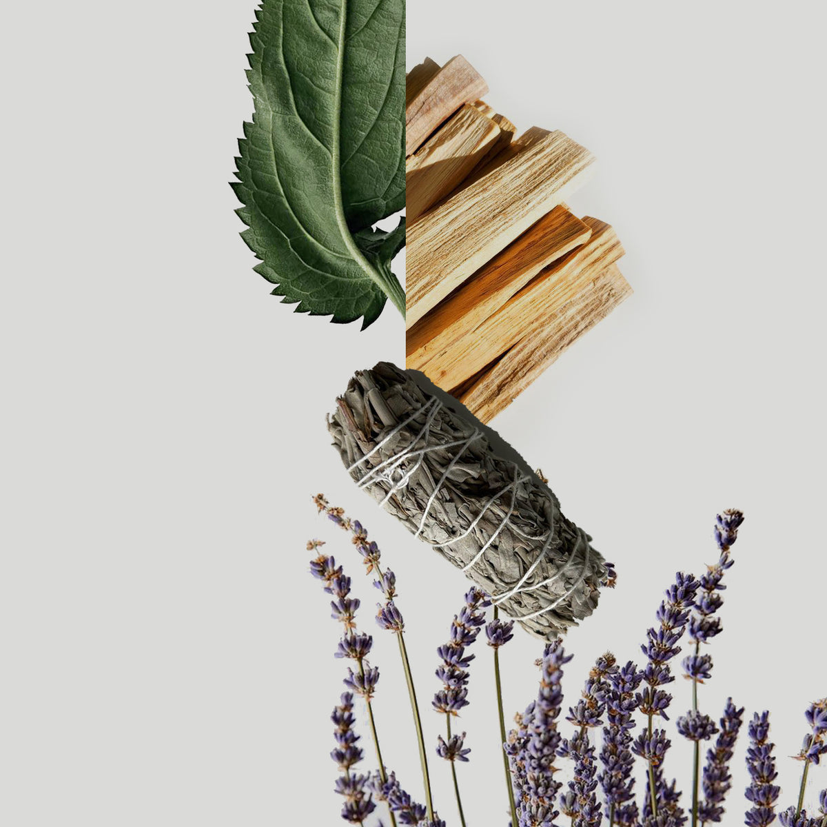 Palo Santo fragrance notes styled photo