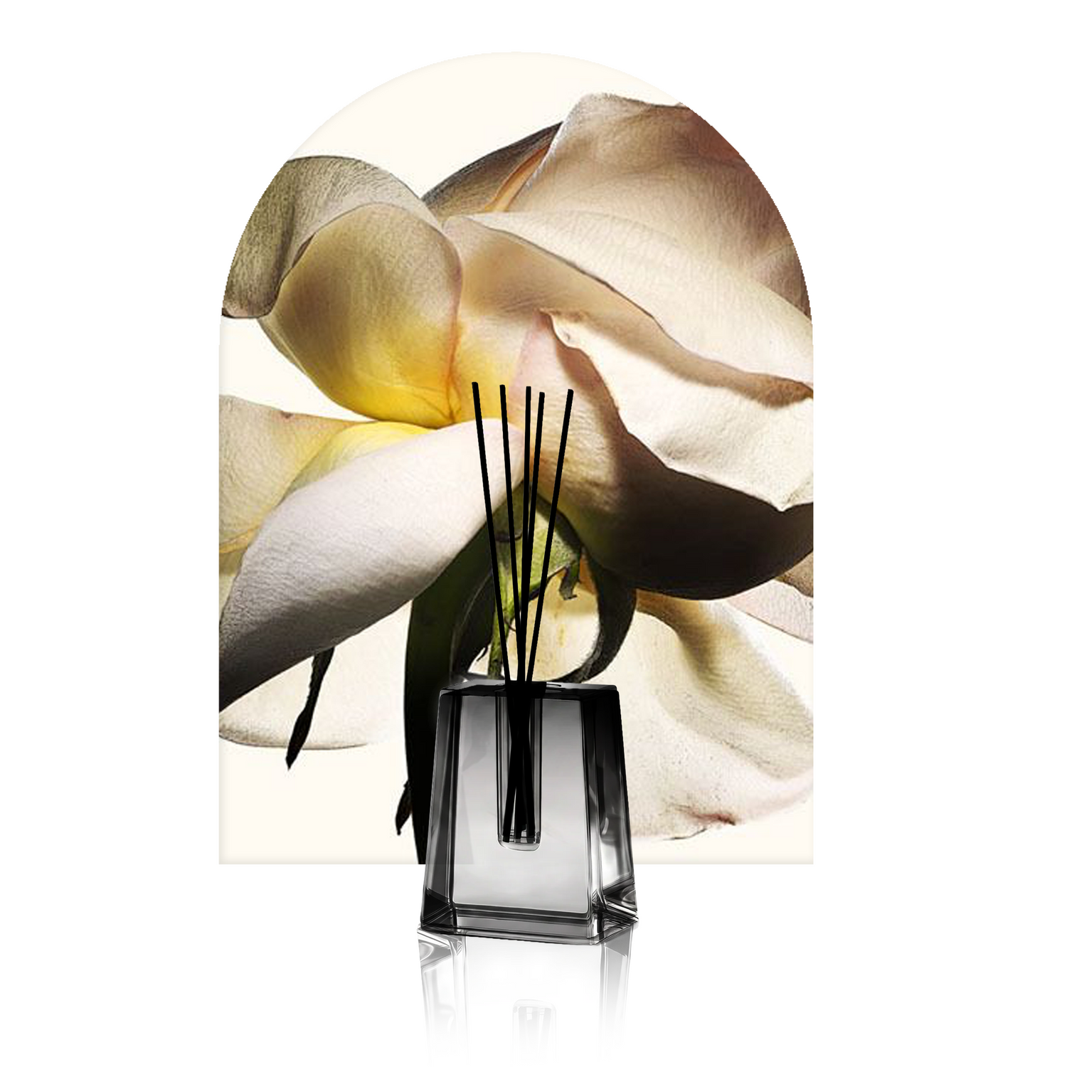 Four Seasons & White Flower: Two Bright, Floral Favorites for Every Room