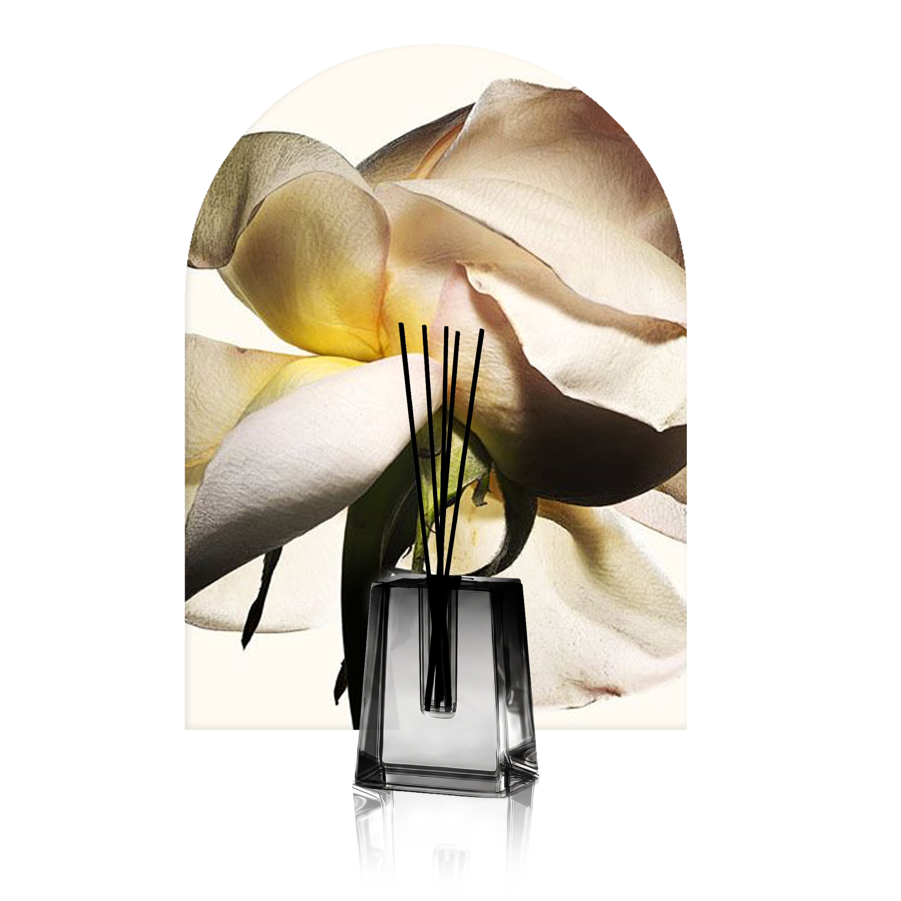 Four Seasons & White Flower: Two Bright, Floral Favorites for Every Room