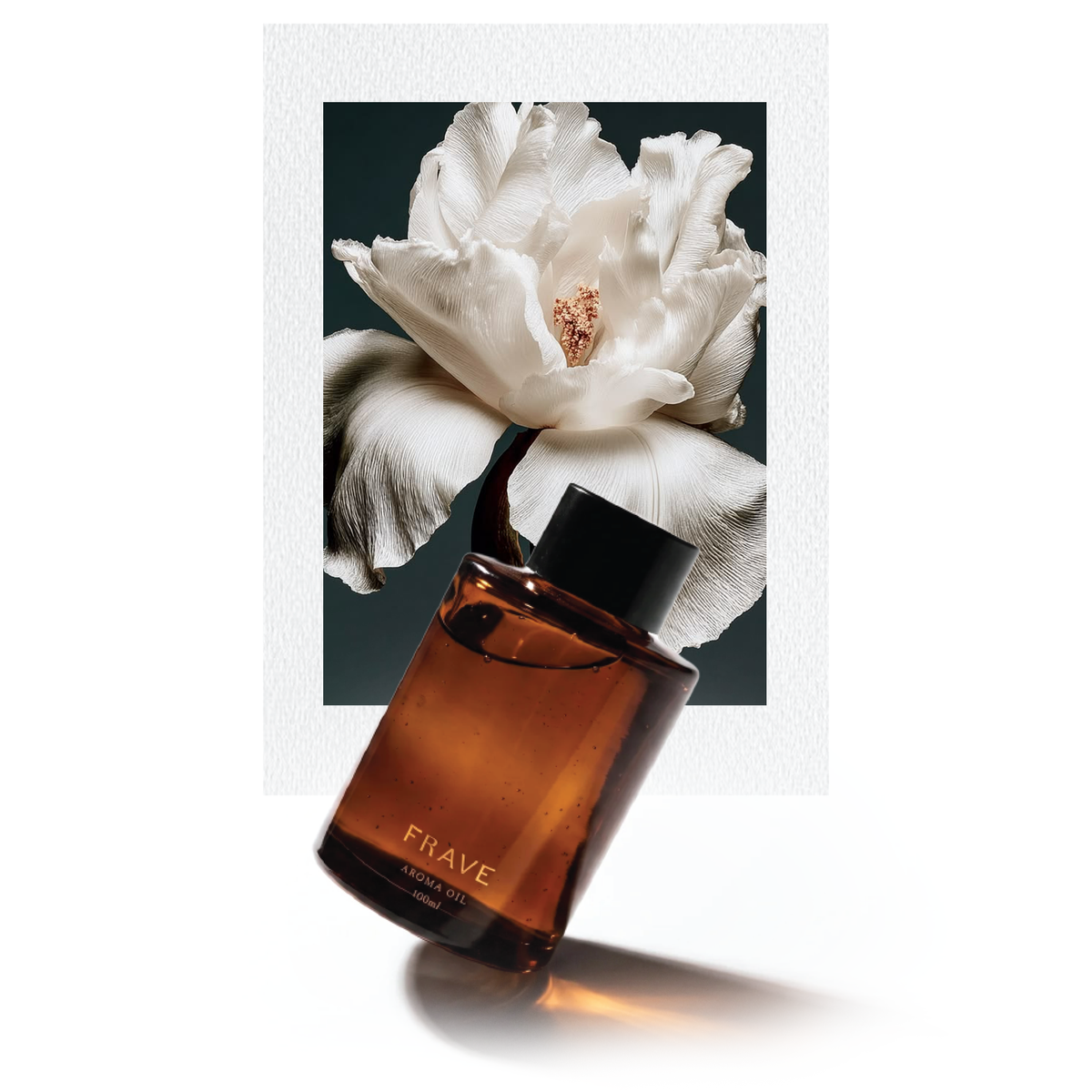 White Flower for A Guide to Refilling Your Diffusers with Scent Oil | Frave Home