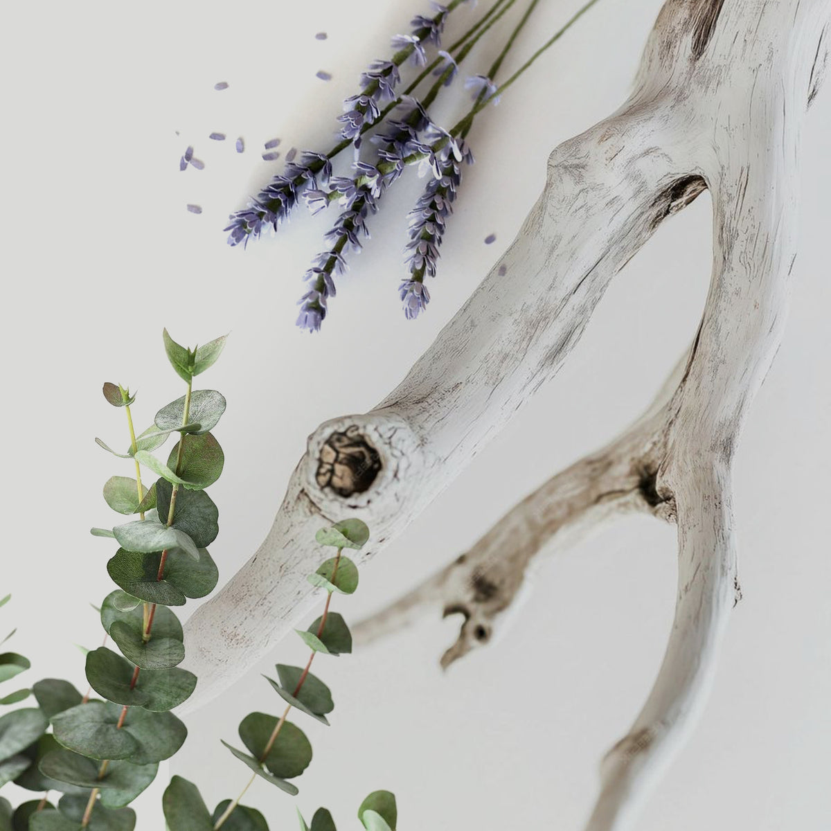Exhale fragrance notes styled photo
