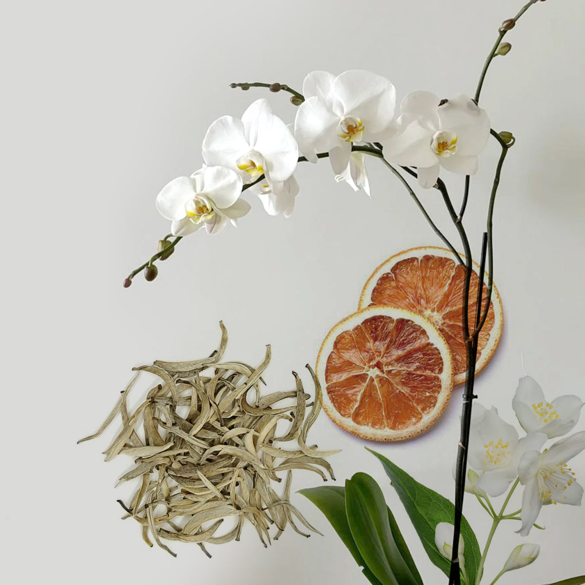 Jade Tea fragrance notes styled photo