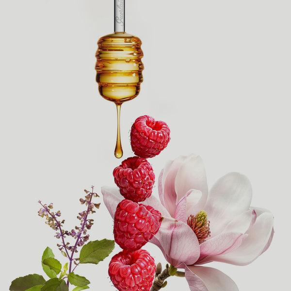 Vanilla Rose
