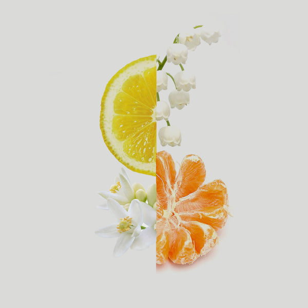 Additional Hotel fragrance notes styled photo