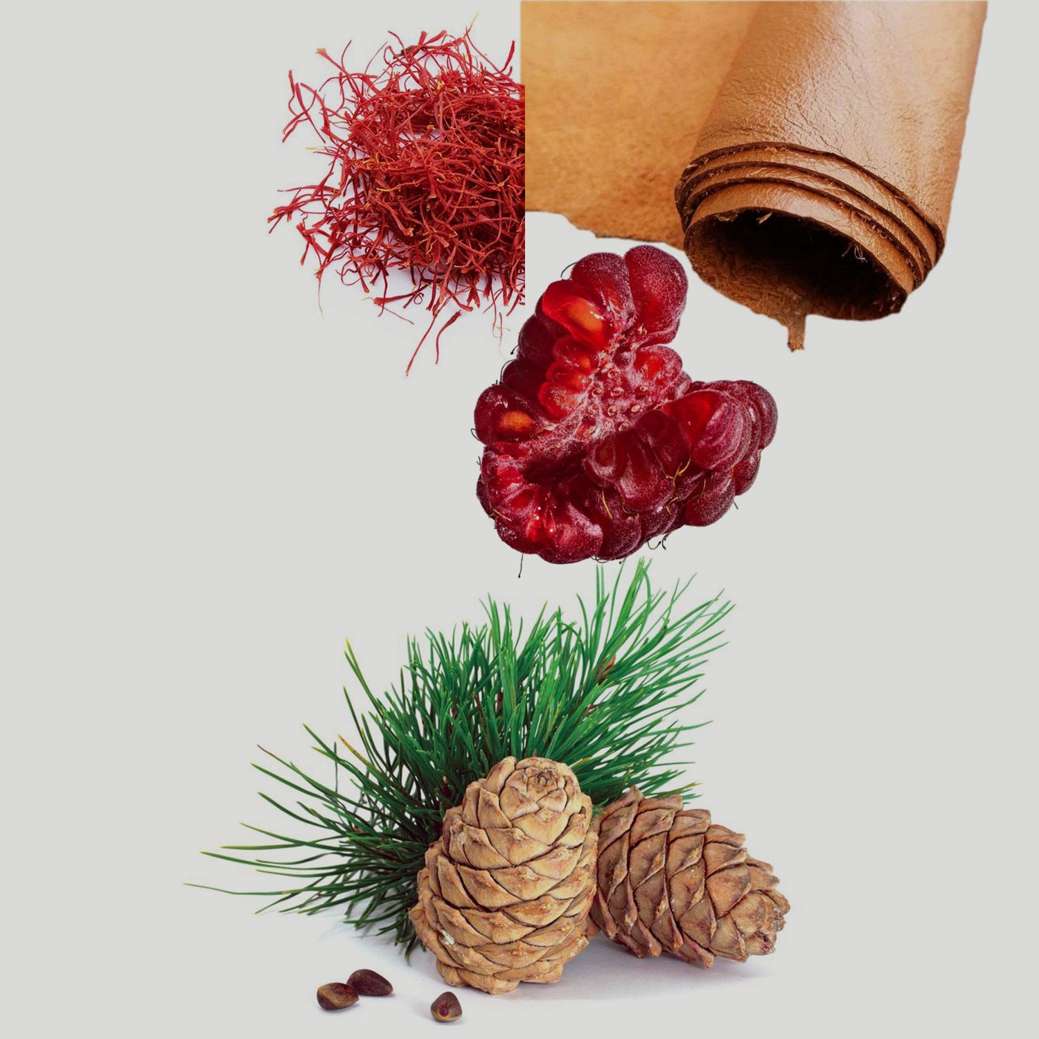 Tuscan Leather & Suede