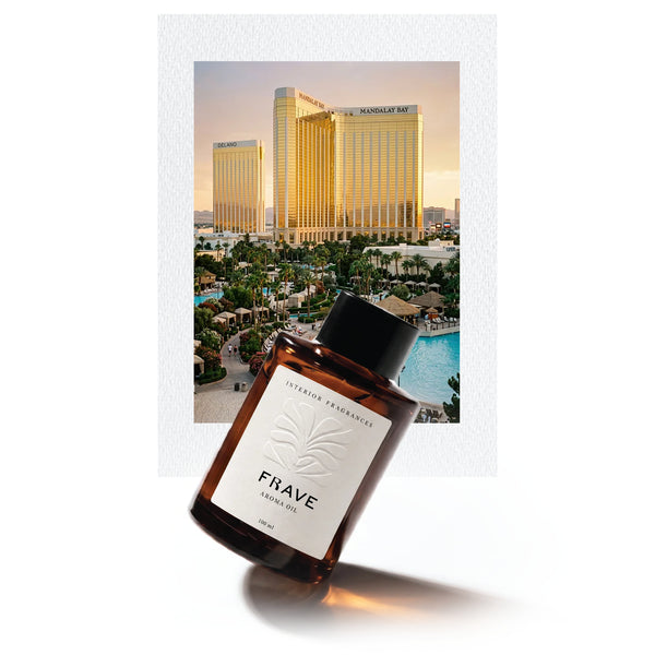 Fresh Arrival — FRAVE 100ml aroma oil