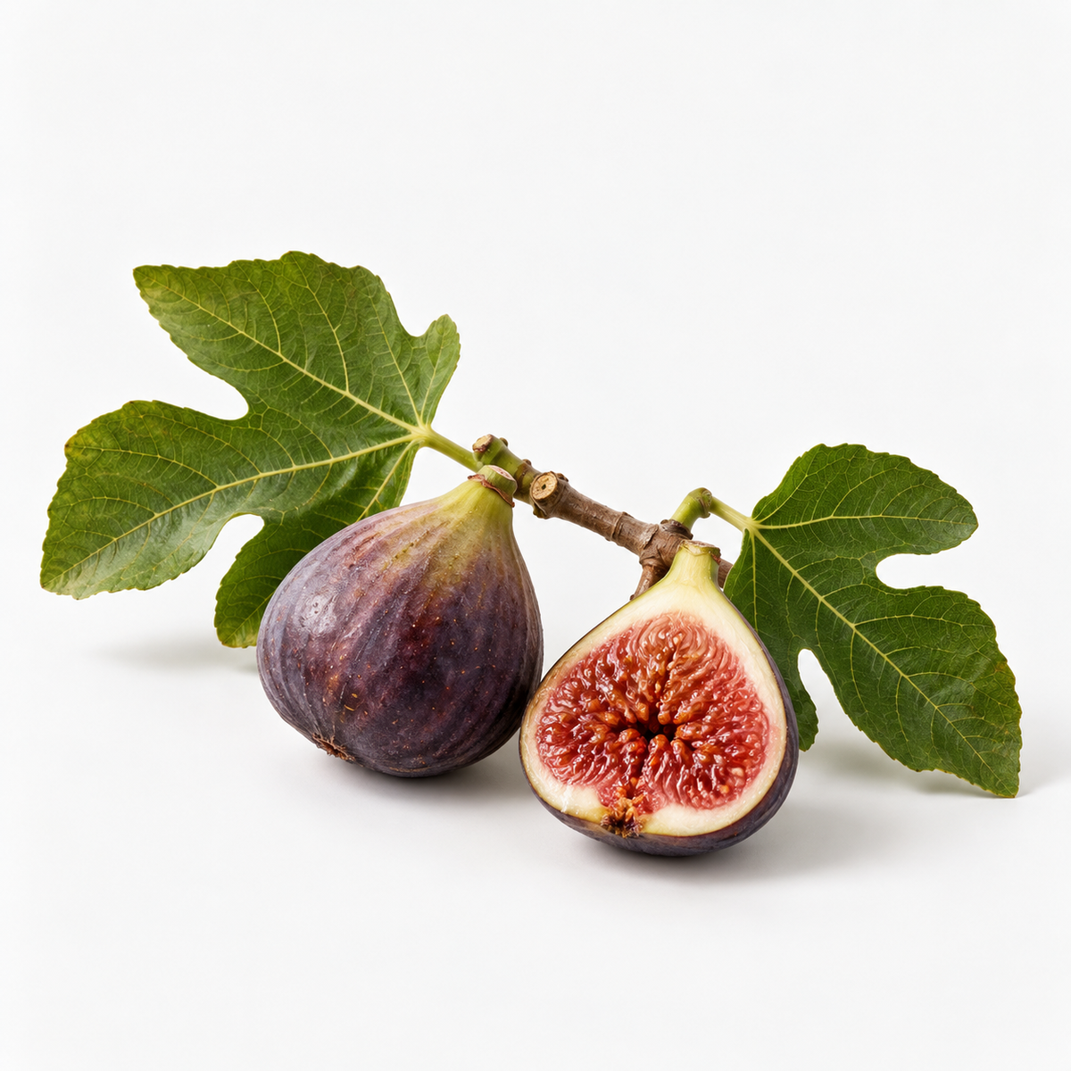 fig maison reed diffuser scent artwork