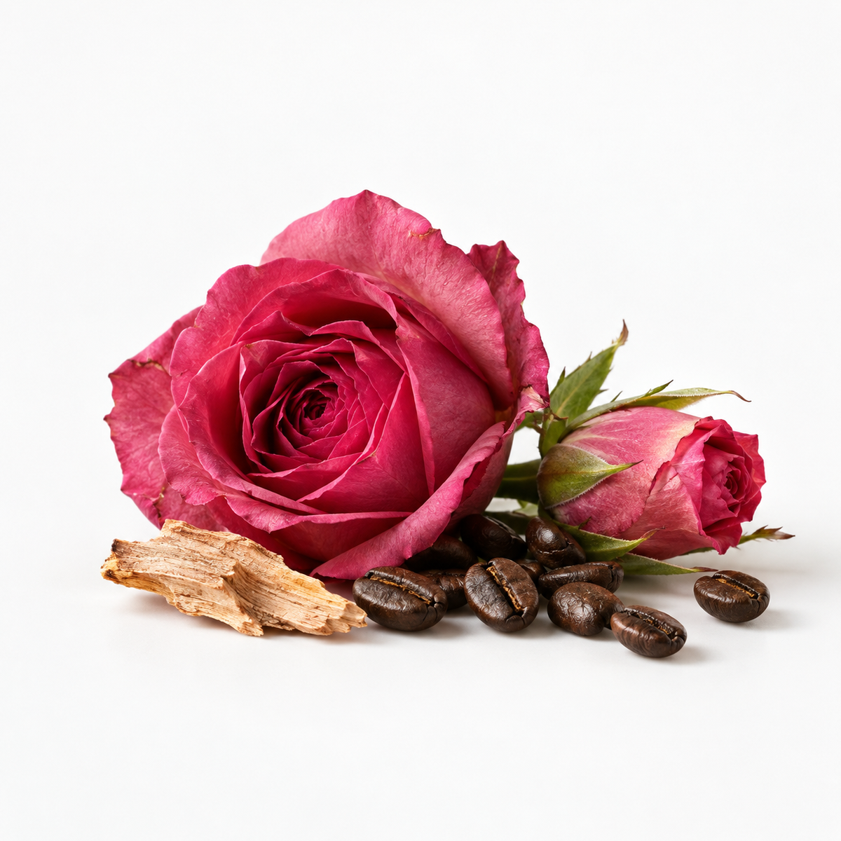 rosella reed diffuser scent artwork